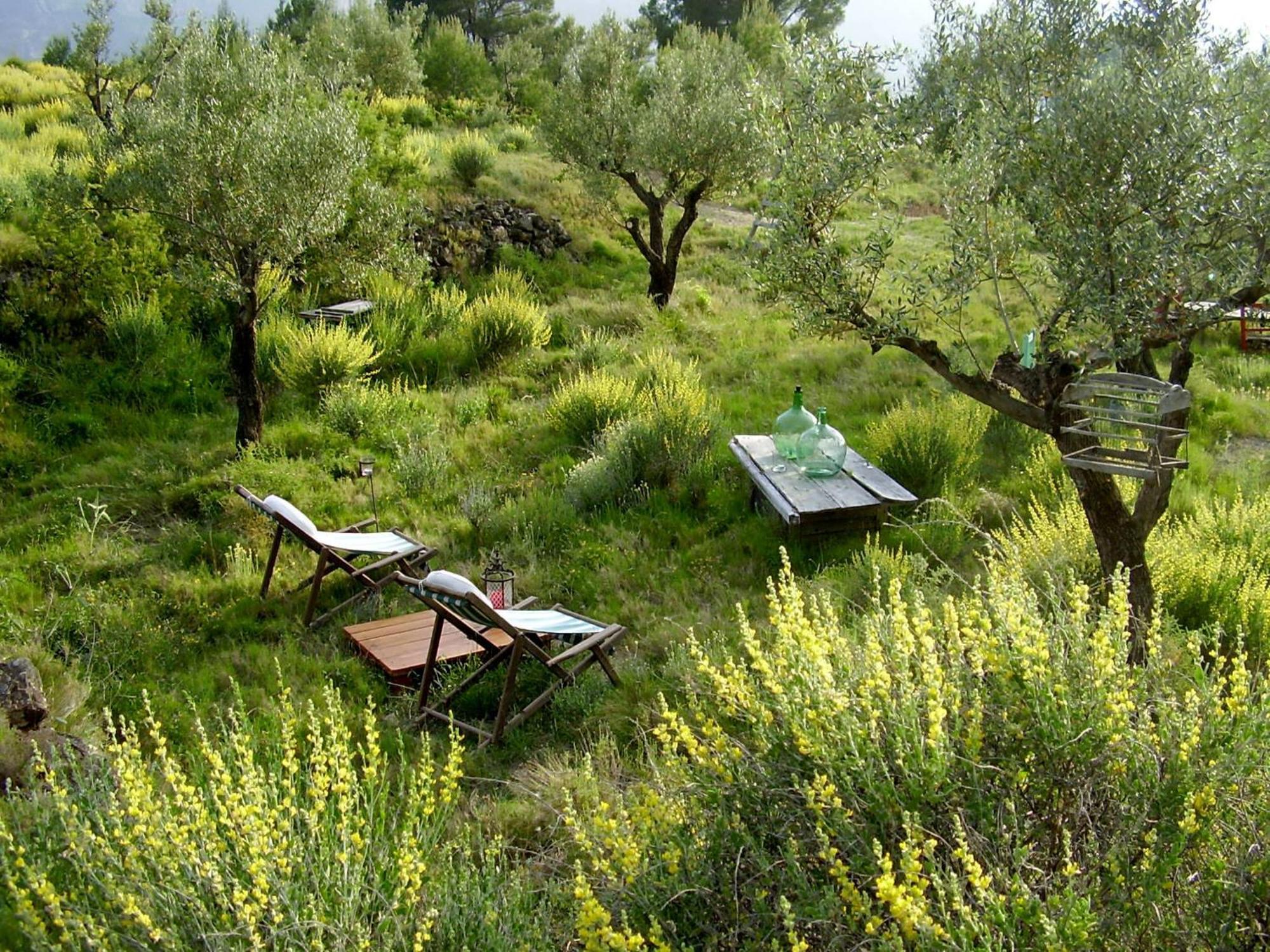 Shariqua (Adults Only) Bed & Breakfast Jérica Exterior foto